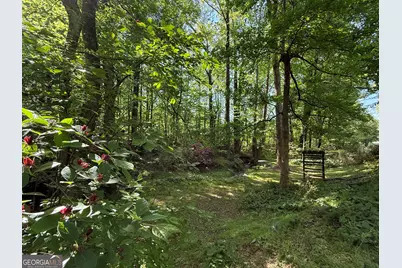 3740 Woodlane Road, Gainesville, GA 30506 - Photo 49