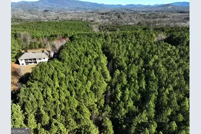 0 Foxpaw Leaf Lane #38, Ellijay, GA 30536 - Photo 9