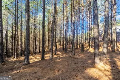 0 Foxpaw Leaf Lane #38, Ellijay, GA 30536 - Photo 3