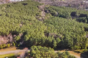 0 Fox Paw Leaf Ln, Ellijay, GA 30536 - Photo 5