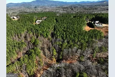 0 Foxpaw Leaf Lane #38, Ellijay, GA 30536 - Photo 11