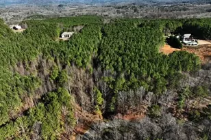 0 Fox Paw Leaf Ln, Ellijay, GA 30536 - Photo 11