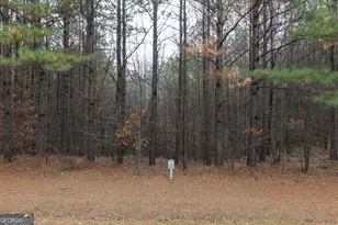 0 Fox Paw Leaf Ln, Ellijay, GA 30536 - Photo 5
