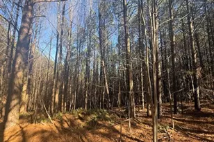 0 Fox Paw Leaf Ln, Ellijay, GA 30536 - Photo 29