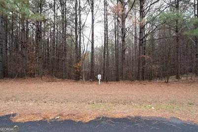 0 Foxpaw Leaf Lane #LOT 20, Ellijay, GA 30536 - Photo 23