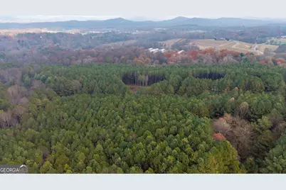 0 Foxpaw Leaf Lane #LOT 20, Ellijay, GA 30536 - Photo 7