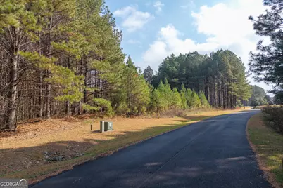 0 Foxpaw Leaf Lane #LOT 20, Ellijay, GA 30536 - Photo 21