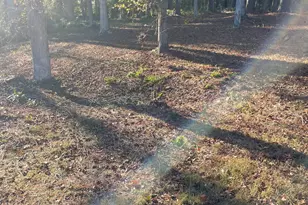 3449 Creekwood Dr SE, Conyers, GA 30094 - Photo 19