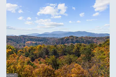 653 The Woods Road, Mineral Bluff, GA 30559 - Photo 7