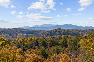 653 The Woods Rd, Mineral Bluff, GA 30559 - Photo 7