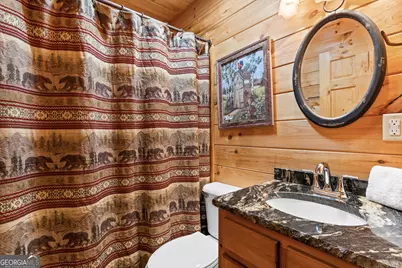 653 The Woods Road, Mineral Bluff, GA 30559 - Photo 17