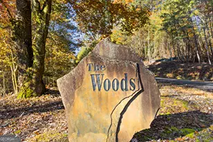 653 The Woods Rd, Mineral Bluff, GA 30559 - Photo 5