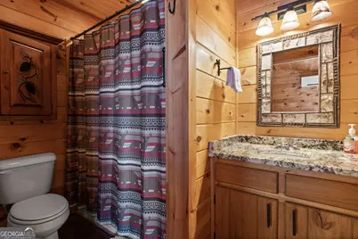 653 The Woods Road, Mineral Bluff, GA 30559 - Photo 39