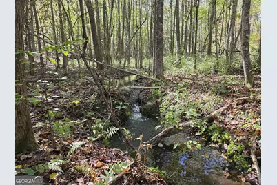 1243 US Hwy 19, Meansville, GA 30256 - Photo 85