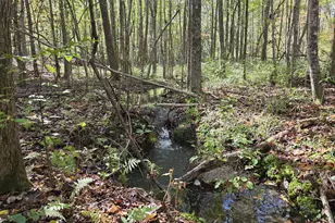 1243 US Hwy 19, Meansville, GA 30256 - Photo 85