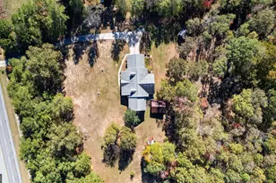 1243 US Hwy 19, Meansville, GA 30256 - Photo 69