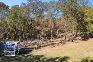 1243 US Hwy 19, Meansville, GA 30256 - Photo 77