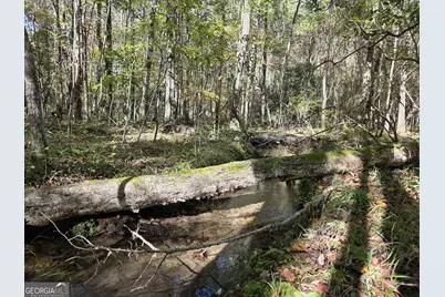 1243 US Hwy 19, Meansville, GA 30256 - Photo 87