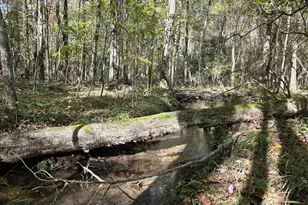 1243 US Hwy 19, Meansville, GA 30256 - Photo 87