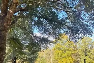 1550 Baughs Cross Rd, West Point, GA 31833 - Photo 23