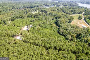 445 Avant Road Bear Creek Rd, Eatonton, GA 31024 - Photo 39