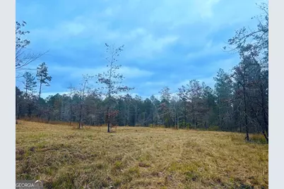 592 Andrew Caldwell Road #TRACT 2A, Lexington, GA 30648 - Photo 23