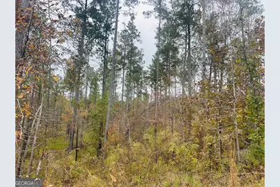 592 Andrew Caldwell Road #TRACT 2A, Lexington, GA 30648 - Photo 37