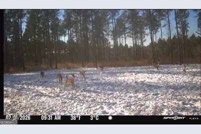 592 Andrew Caldwell Road #TRACT 2A, Lexington, GA 30648 - Photo 65