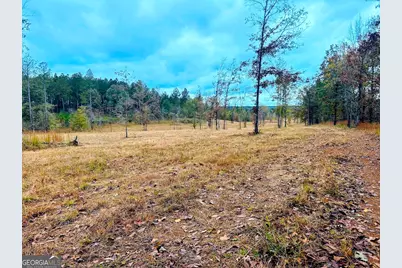 592 Andrew Caldwell Road #TRACT 2A, Lexington, GA 30648 - Photo 7