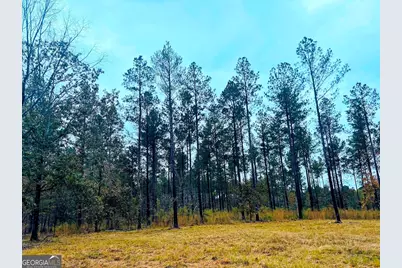 592 Andrew Caldwell Road #TRACT 2A, Lexington, GA 30648 - Photo 9