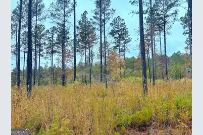 592 Andrew Caldwell Road #TRACT 2A, Lexington, GA 30648 - Photo 11