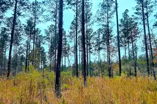 592 Andrew Caldwell Rd, Lexington, GA 30648 - Photo 1