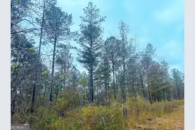 592 Andrew Caldwell Road #TRACT 2A, Lexington, GA 30648 - Photo 27