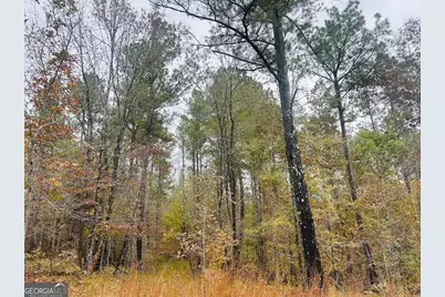 592 Andrew Caldwell Road #TRACT 2A, Lexington, GA 30648 - Photo 41