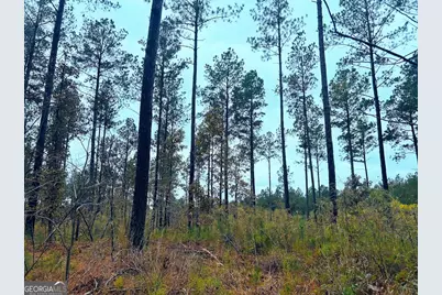 592 Andrew Caldwell Road #TRACT 2A, Lexington, GA 30648 - Photo 15