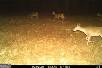 592 Andrew Caldwell Road #TRACT 2A, Lexington, GA 30648 - Photo 53