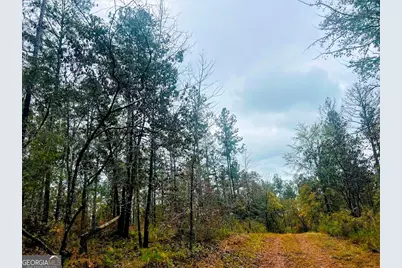 592 Andrew Caldwell Road #TRACT 2A, Lexington, GA 30648 - Photo 31