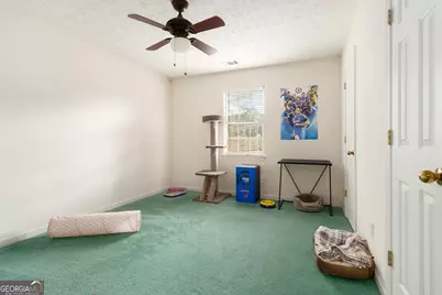 248 Fern Court, Hampton, GA 30228 - Photo 15