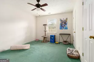 248 Fern Ct, Hampton, GA 30228 - Photo 15