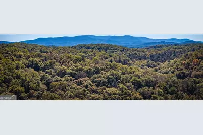 Lot 19 River Chase Way, Mineral Bluff, GA 30559 - Photo 51