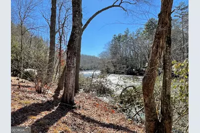 Lot 19 River Chase Way, Mineral Bluff, GA 30559 - Photo 37
