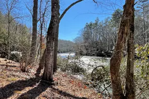 Lot 19 River Chase Way, Mineral Bluff, GA 30559 - Photo 37