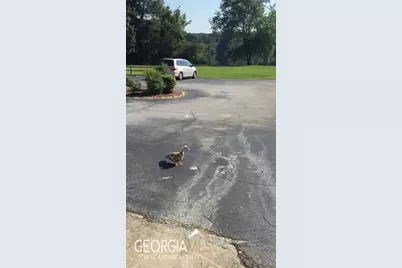 223 Flat Creek Court, Peachtree City, GA 30269 - Photo 15