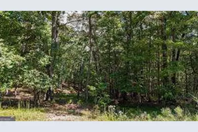 925 Arrow Trail, Waleska, GA 30183 - Photo 5