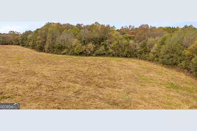 0 Airline School Road #TRACT 3, Bowersville, GA 30516 - Photo 33