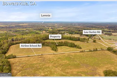 0 Airline School Road #TRACT 5, Bowersville, GA 30516 - Photo 9