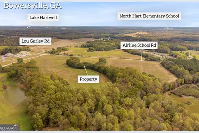 0 Airline School Road #TRACT 6, Bowersville, GA 30516 - Photo 5