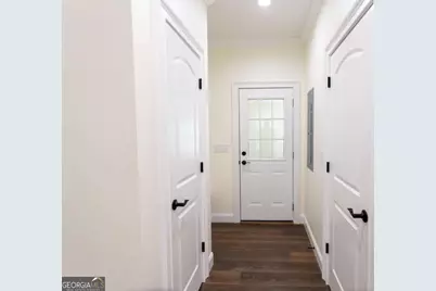 4419 Altamaha School Road, Baxley, GA 31513 - Photo 39