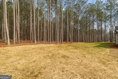 252 Spruill Bridge Road, Temple, GA 30179 - Photo 47