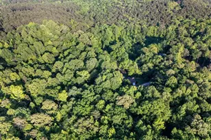 153 N Whatley Rd, Lagrange, GA 30240 - Photo 75